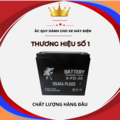 ẮC QUY XE ĐẠP ĐIỆN OSAKA 20 AH ( 48V - 12AH)