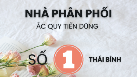 TẠI SAO BẠN NÊN THAY ẮC QUY XE ĐẠP ĐIỆN TẠI ĐẠI LÝ ẮC QUY TIẾN DŨNG ( THÁI BÌNH ) ?